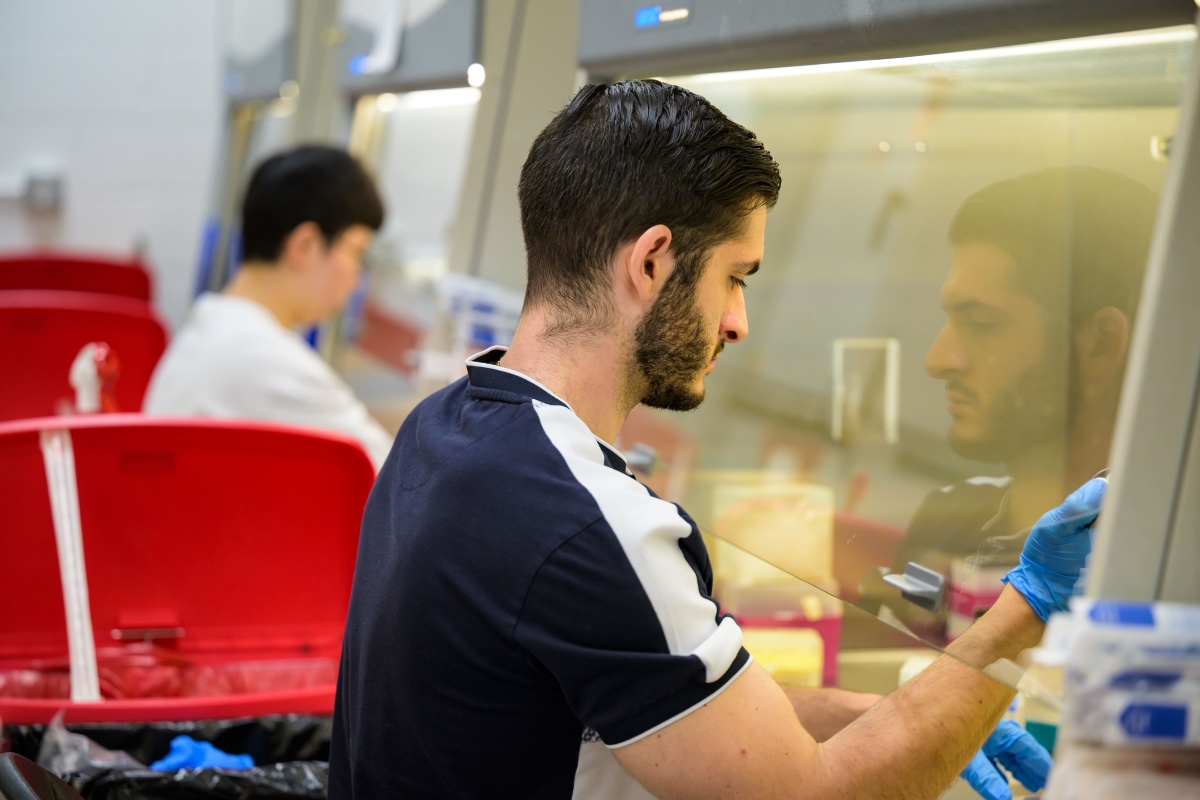 degree programs image